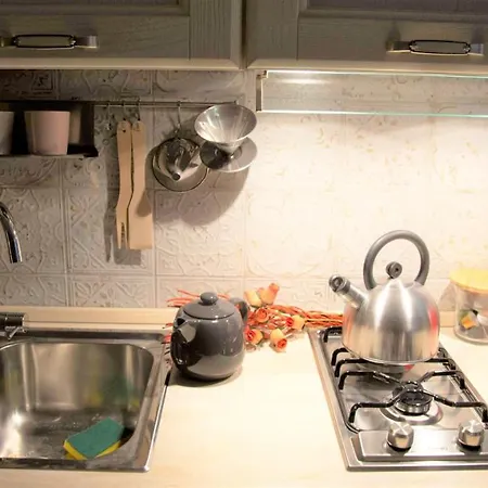 Valia Pitti 1 Apartment Florence